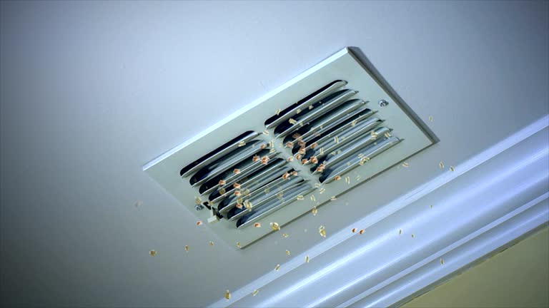Best Affordable HVAC Duct Cleaning  in Lake Village, AR