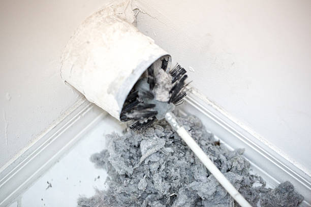 Best Professional Duct Cleaning Services  in Lake Village, AR
